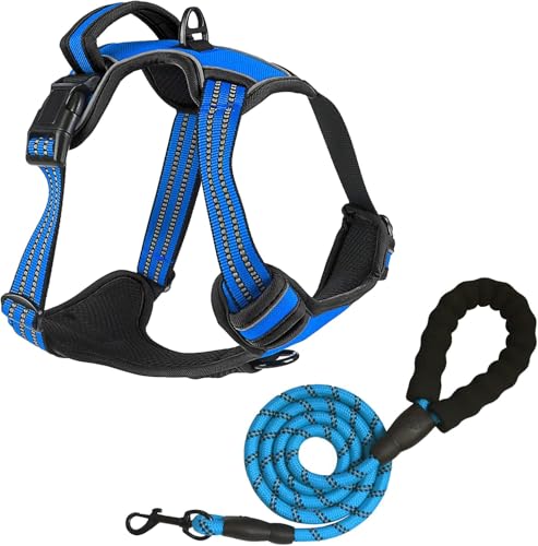 No Pull Dog Harness for Large Dog with Leash (Blue / L)