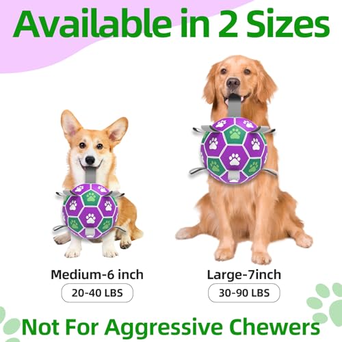 Dog Toy Balls (6 Inch / Purple Green)
