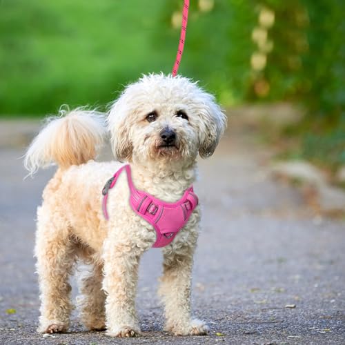Dog Harness for Small Sized Dog No Pull Dog Vest ID Tag Pocket (Pink / X-Small)