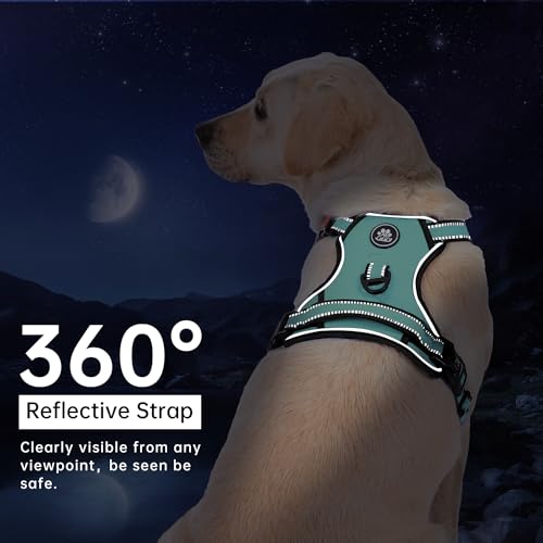 No Pull Dog Harness for Small Dogs (Turquoise / Small)