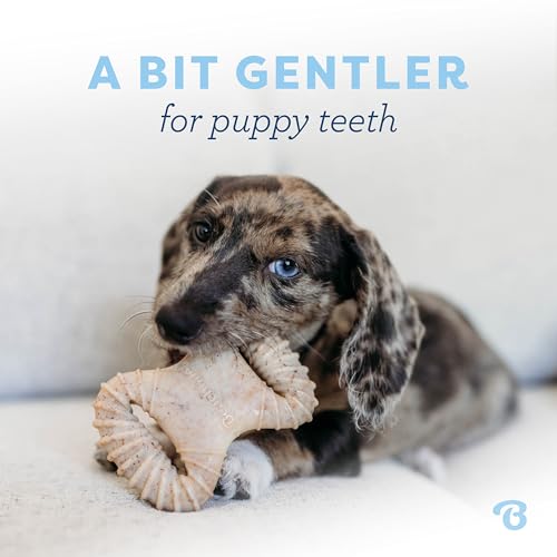 Puppy 2 Pack Dental Chew (Small – 2 Pack)