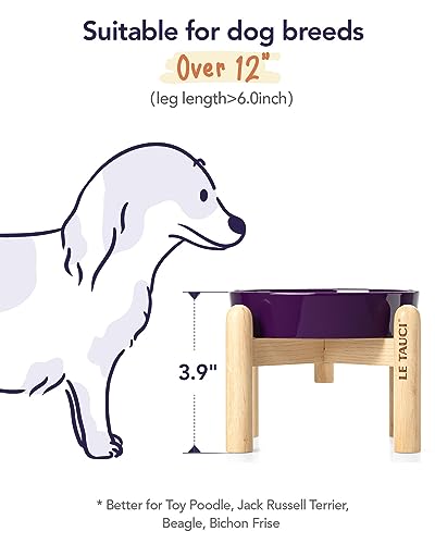 Ceramic Slow Feed Dog Bowls (Maze Purple+Stand / S-0.6 Cups)