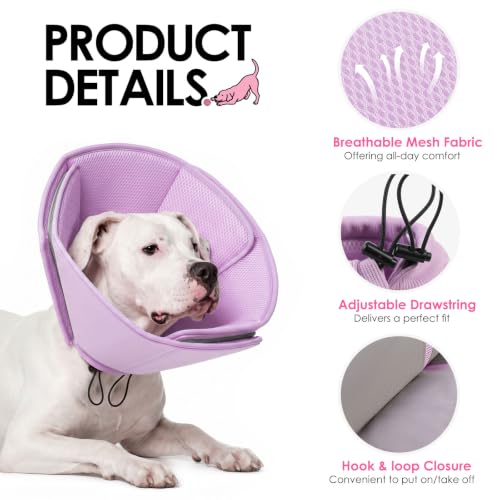 Soft Dog Cone (Purple / Large)