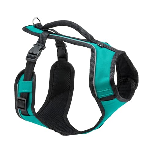 EasySport Dog Harness (Medium / Teal)
