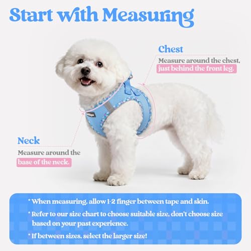 Dog Harness Medium Sized and Leash Set (Blue & Plaid Trim / M (chest: 16 - 18.5"))