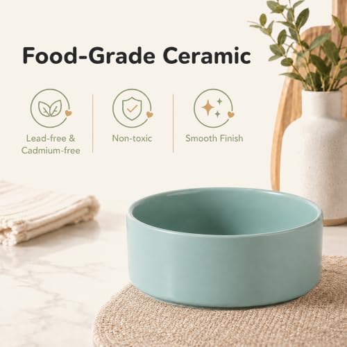 Ceramic Dog Bowls Elevated (Light Green)