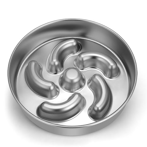 Slow Feeder Dog Bowl