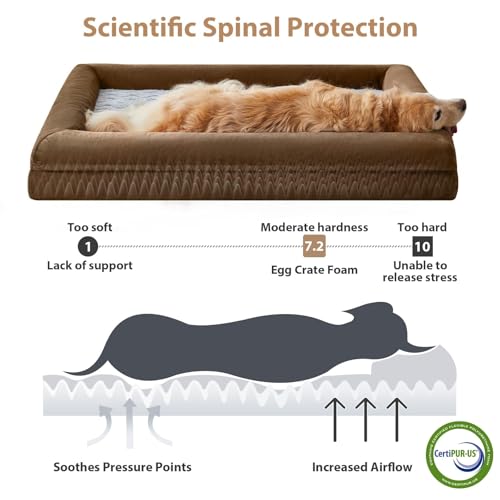 XXL Extra Large Orthopedic for Senior Dog BedComfy Sleeping (Brown / XX-L (45x35x7in))