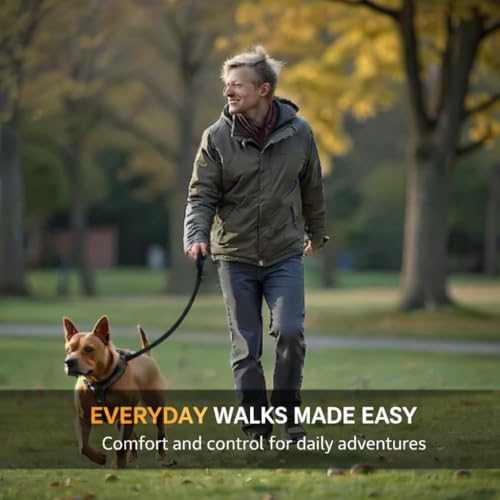SparkDog Daily Dog Training Leash (Daily-Black / L 4' * W 3/4")