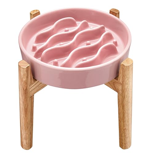 Ceramic Slow Feeder Dog Bowls Elevated (Salmon Pink + Stand / 8 Inches)