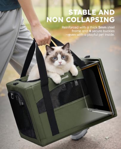Cat Carrier Stable (Green / 18.5"L x 12.9"W x 11.8"H)