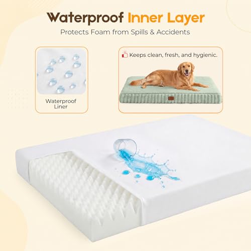 Orthopedic Dog Bed for XL Dog (Green / 42"x30"x4")