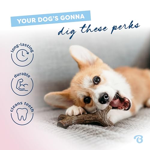 Puppy Maplestick Dog Chew Toy (Puppy Small)