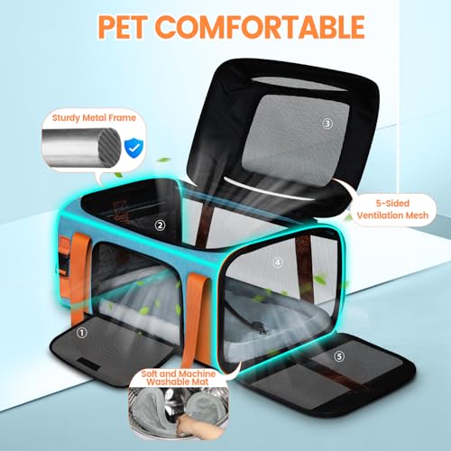 Top Expandable Pet Carrier with Wheels Airline Approved (Blue and Wheeled)