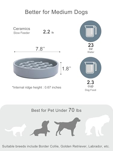 Ceramic Slow Feeder Dog Bowl (Macroni-Ice Blue / Medium)