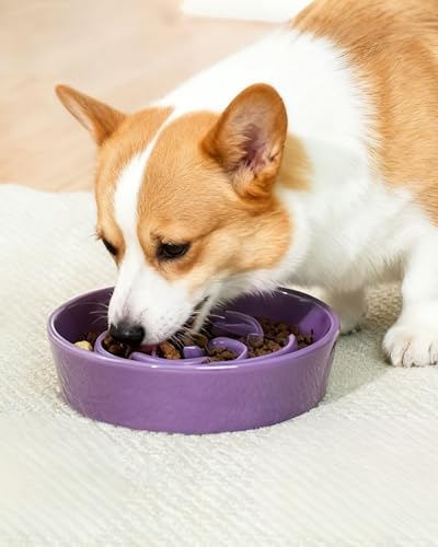 Ceramic Slow Feeder Dog Bowls (M-1.5 Cups / 03-Purple)