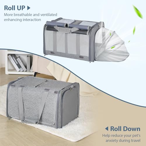 Cat Carrier for 2 Cats