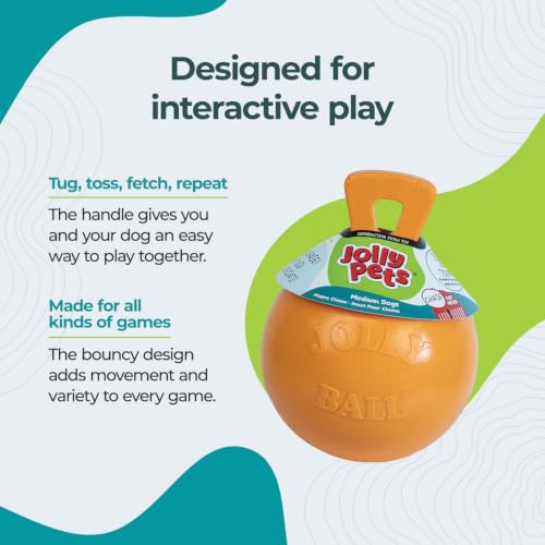 Tug-n-Toss - Heavy Duty Chew Ball w/ Handle (Orange, 6") (Orange / Medium (6 in))