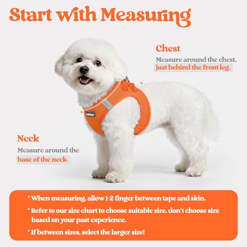 Dog Harness Small Sized and Leash Set (Orange / Xxxs (chest: 10.8 - 11.8"))