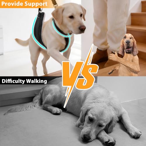 Dog Lift Harness for Senior (Black / S)