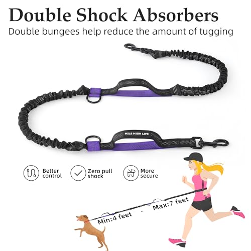 Hands Free Leash (Black Purple / 7FT Hands Free)