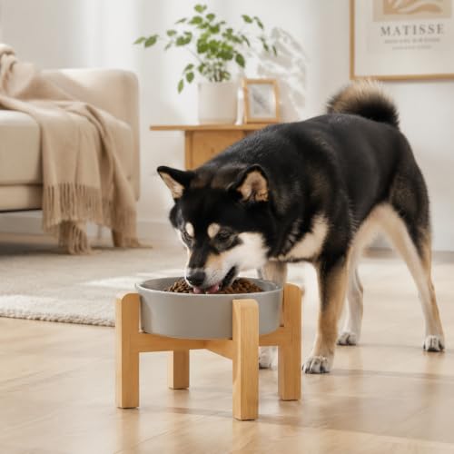 Elevated Slow Feeder Ceramic Dog Bowls 8.26in (Gray / 8.26in)