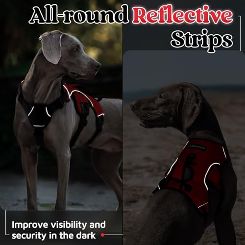 Escape Proof Dog Harness for Medium (Red / Medium)