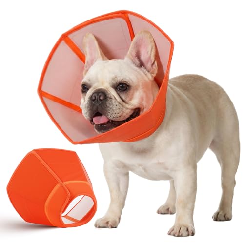 Dog Cone Waterproof Pet Recovery Collar Anti Lick (Orange / Small)