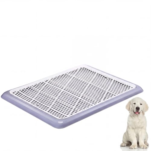 2 Pcs Dog Potty Tray (Gray / 25.6 x 18.9 Inch)