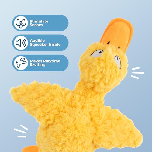Squeaky Plush Dog Toy (Ducky Doodle (Yellow) / Small)