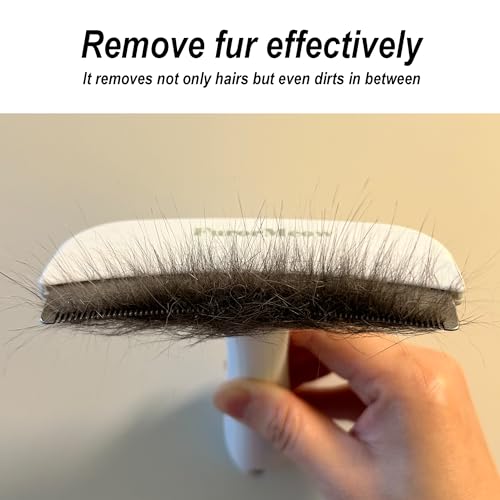Pet Deshedding Tool with Curve Blade (Large / White)