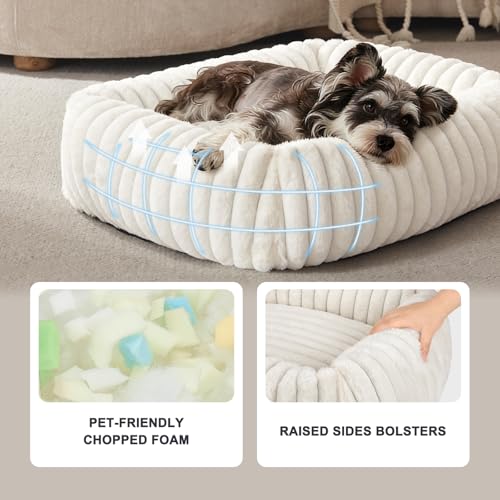 Dog Bed for Small Dogs (Cream / S (20"x19"x6"))