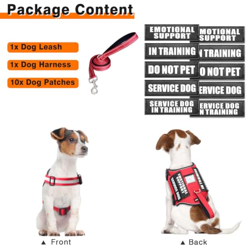Service Dog Harness and Leash Set (X-Large / Red)