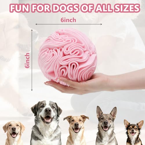 Snuffle Ball for Dogs (Light Red / Medium)