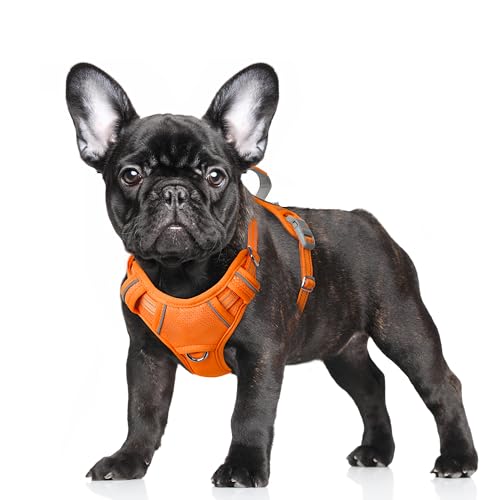 No Pull Dog Harness Large Reflective Dog Harness with Front Clip and Easy Control Handle for Walking Training Running with ID tag Pocket (Orange / Small)