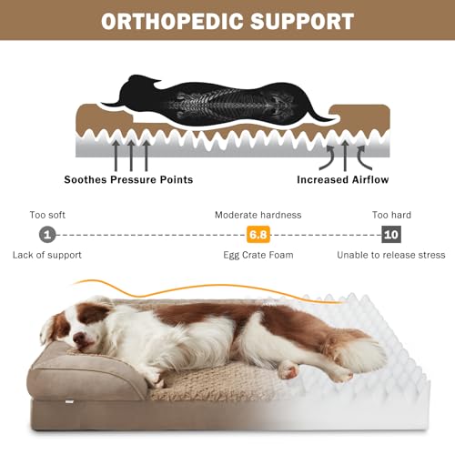 Orthopedic Extra Large Dog Bed (XXL (48"x 35"x 8") / Brown)