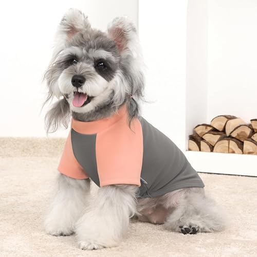 4 Pack Dog Sweaters Comfy Dog Clothes with Sleeves Puppy Shirts Pullover Pet Sweatshirt for Small Medium Large Dogs Boy Girl Doggy Outfits Cat Apparel (Small / Orange, Grey)
