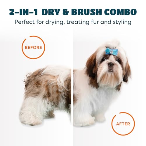 2-in-1 Dog Hair Dryer with Brush for Small Dogs and Cats, Pet Blow Dryer