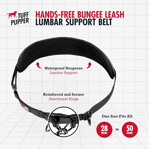 Heavy Duty Hands Free Bungee Dog Leash