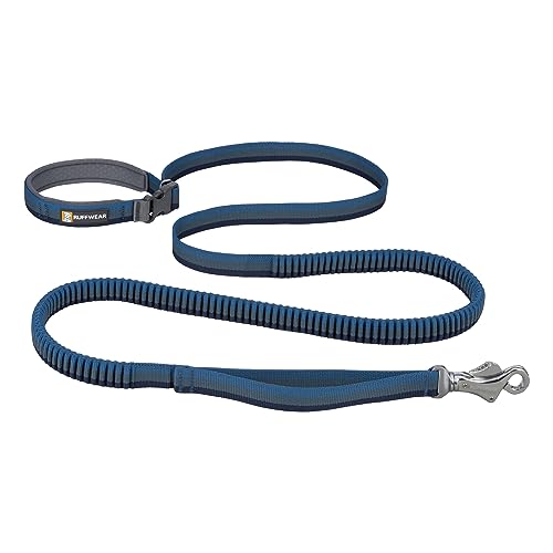 Roamer Bungee Dog Leash (7.3'-11' / Orion Blue)