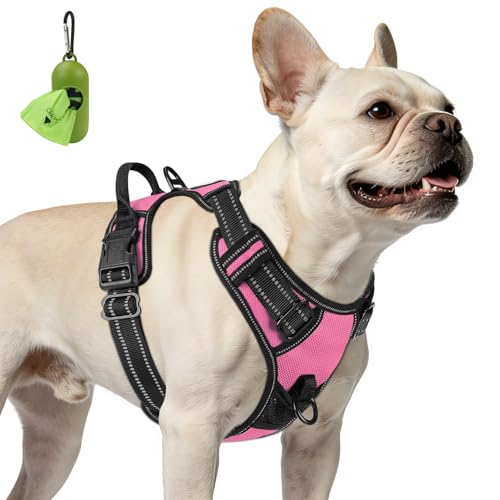 No Pull Dog Harness for Small Dogs (Small / Pink)