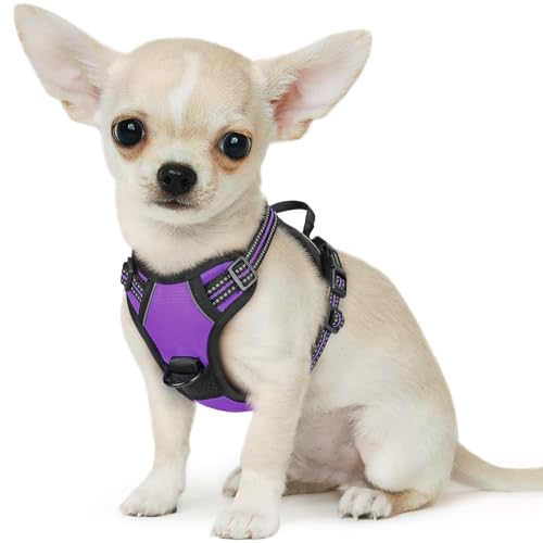 Dog Harness for Small Dogs (X-Small / Purple)