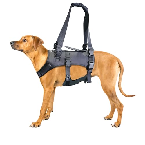 Dog Lift Harness (Large)