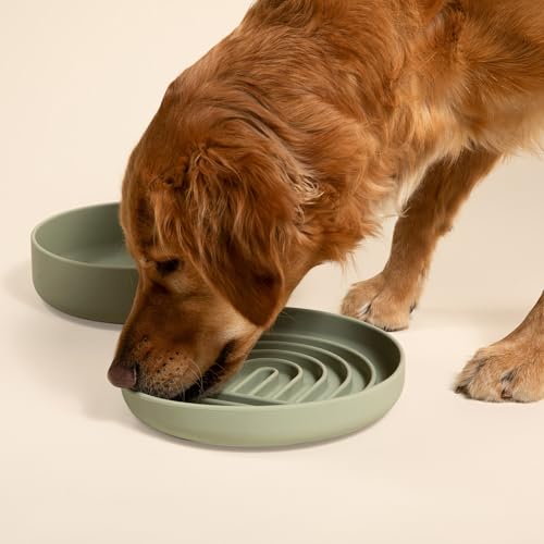 Slow Feeder Dog Bowl (Sage - Rainbow Design / Large (9.5” Across and 1.5” Tall))