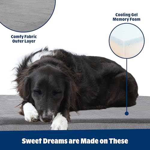 Orthopedic Dog Bed (Grey / XX-Large)