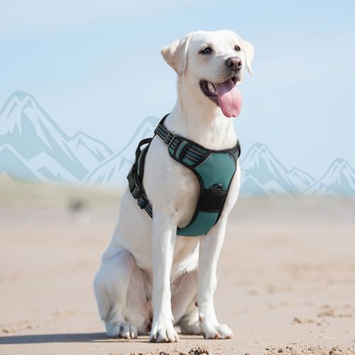Dog Harness for Large Dogs (Large / Dark Green)