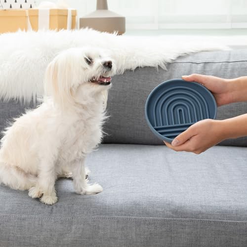 Slow Feeder Dog Bowl (Ocean - Rainbow Design / Small (6” Across x 1.25” Tall))