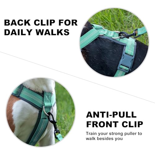 No Pull Dog Harness (XS / Teal)