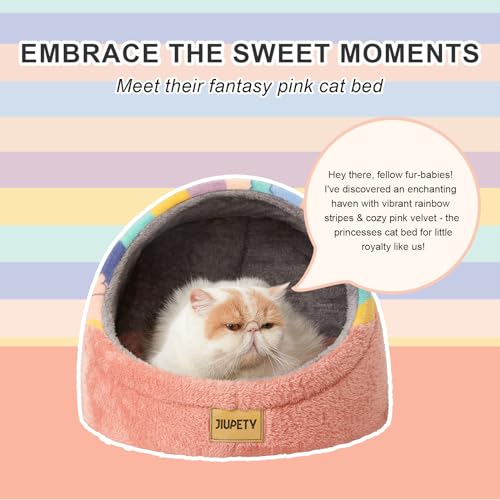 Cute Cat Beds for Indoor Cats (Medium / Rainbow)