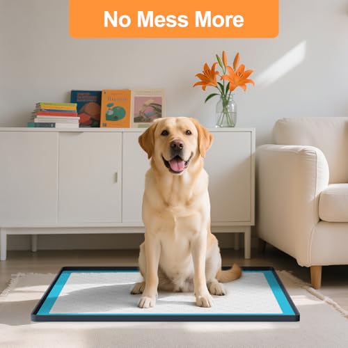 Pee Pad Tray Holder for Dogs (Dark Gray / 25"L x 25"W)